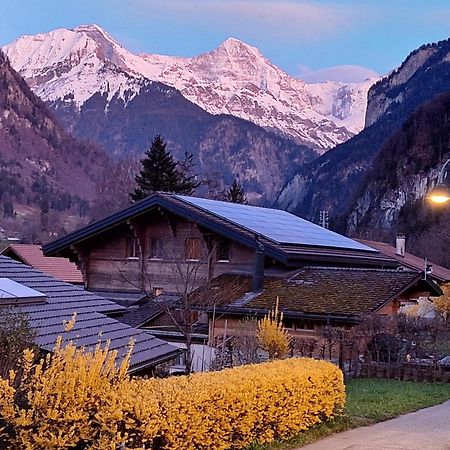 BnB Chalet-Gafri - Frühstückspension Wilderswil Exterior foto