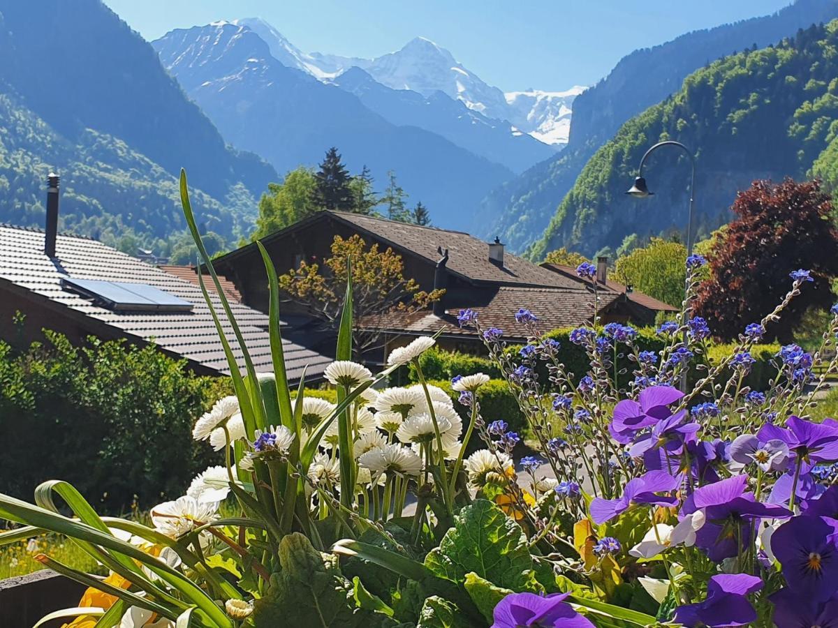 BnB Chalet-Gafri - Frühstückspension Wilderswil Exterior foto