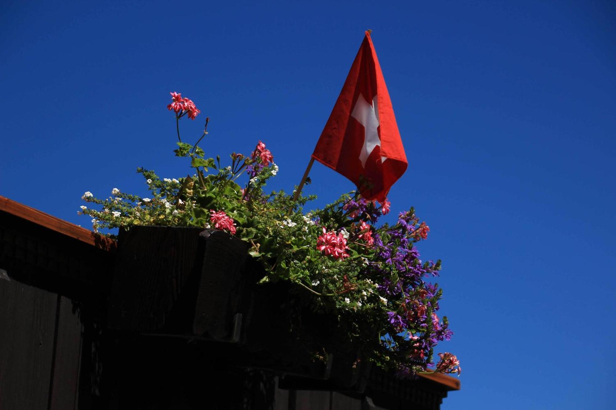 BnB Chalet-Gafri - Frühstückspension Wilderswil Exterior foto