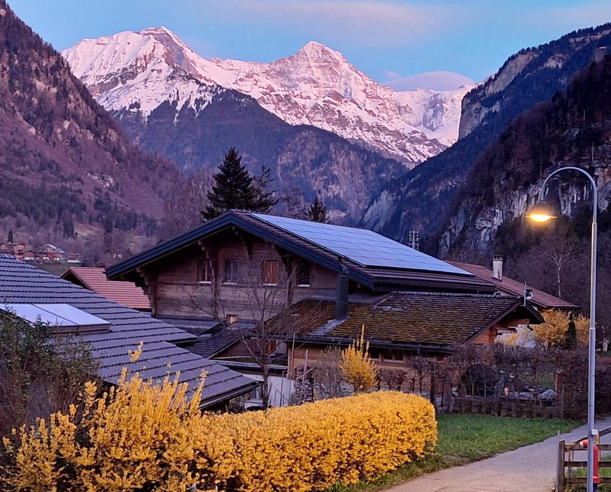 BnB Chalet-Gafri - Frühstückspension Wilderswil Exterior foto